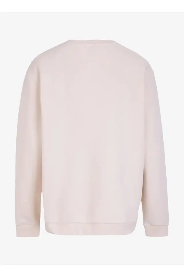 Jack&Jones Jcotabi Crew Erkek Sweatshirt 12275174