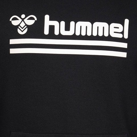 Hummel Darins Erkek Kapüşonlu Sweatshirt 920765-2001